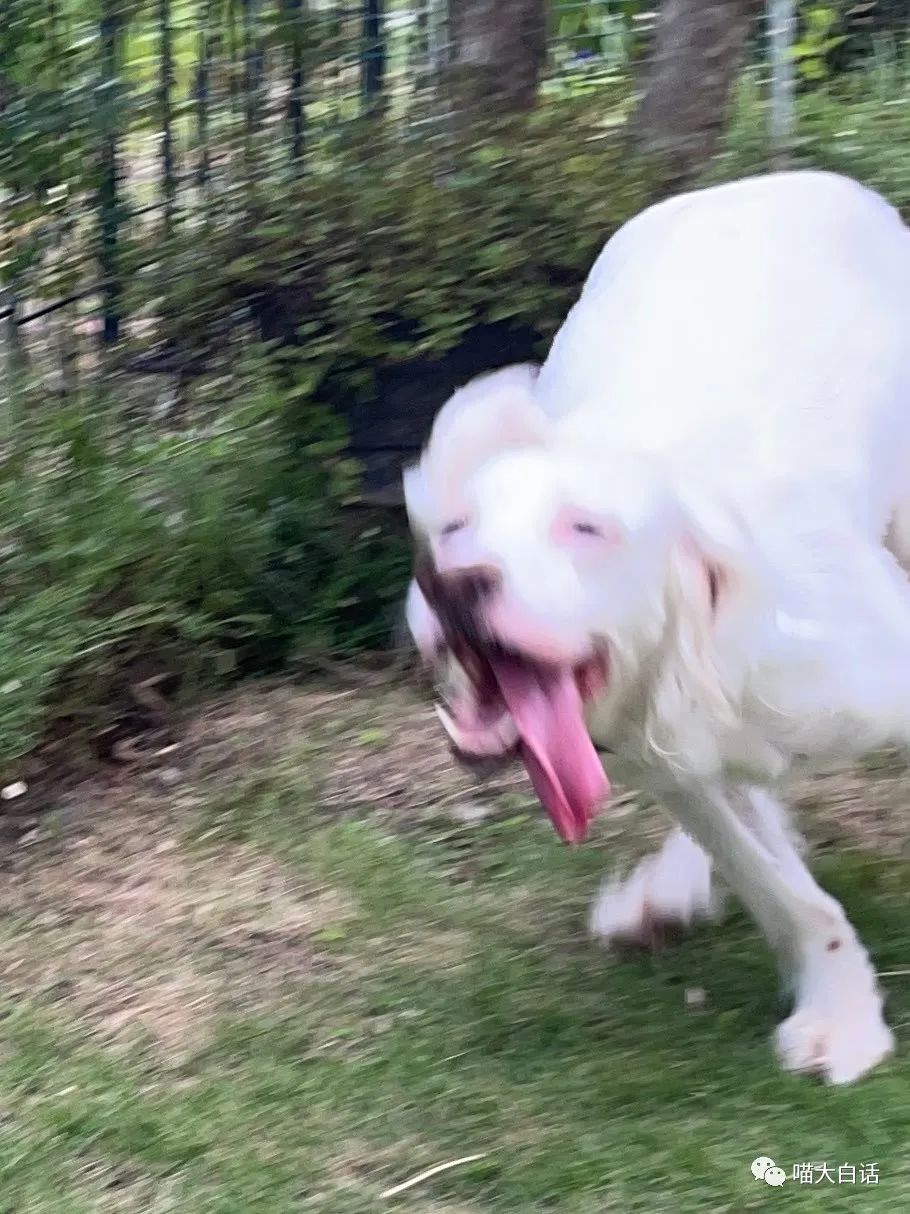 背德文学啥意思,背德文学是什么