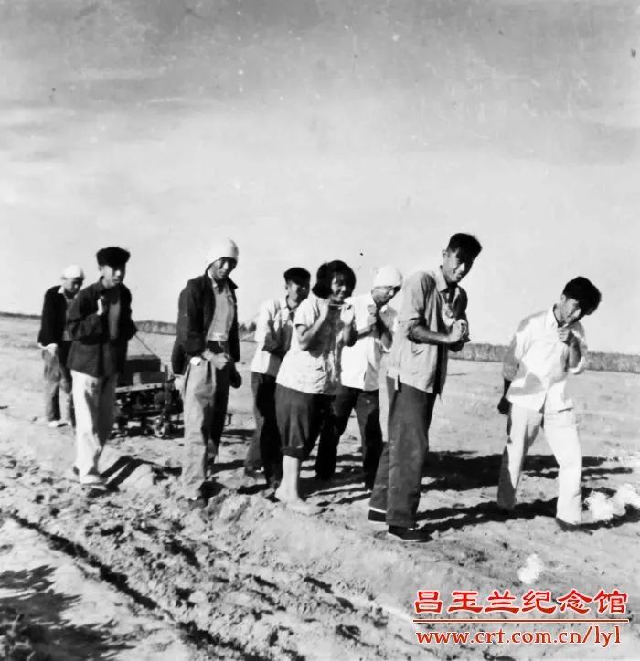 玉兰花开时，我们怀念她——闻名全国的劳动模范、农村里走出的省委书记……