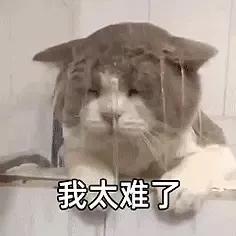 女生的腿合不拢意味着什么,女生腿并不拢说明什么