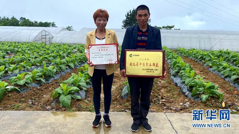 恩施州烟草公司有几个,恩施市鹤峰县烟草种植基地