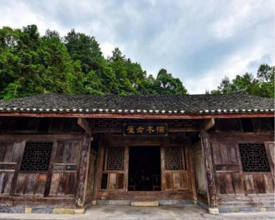 一棵树价值十亿,一棵金丝楠木价值2.5个亿