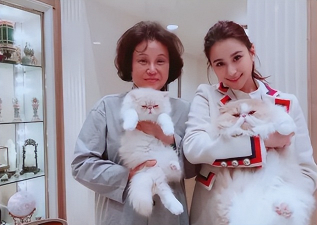 赌王何超莲吴克群视频,吴克群何超莲差几岁