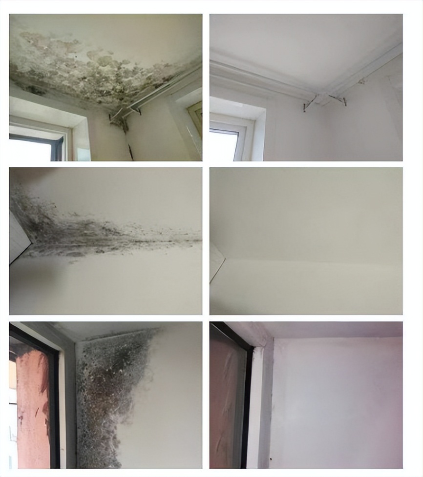 墙壁潮湿发霉用什么消毒,墙壁潮湿发霉怎样彻底处理