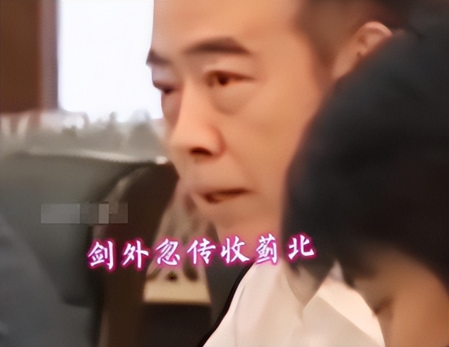 如何看待陈凯歌对柳岩发怒,陈凯歌怒斥柳岩