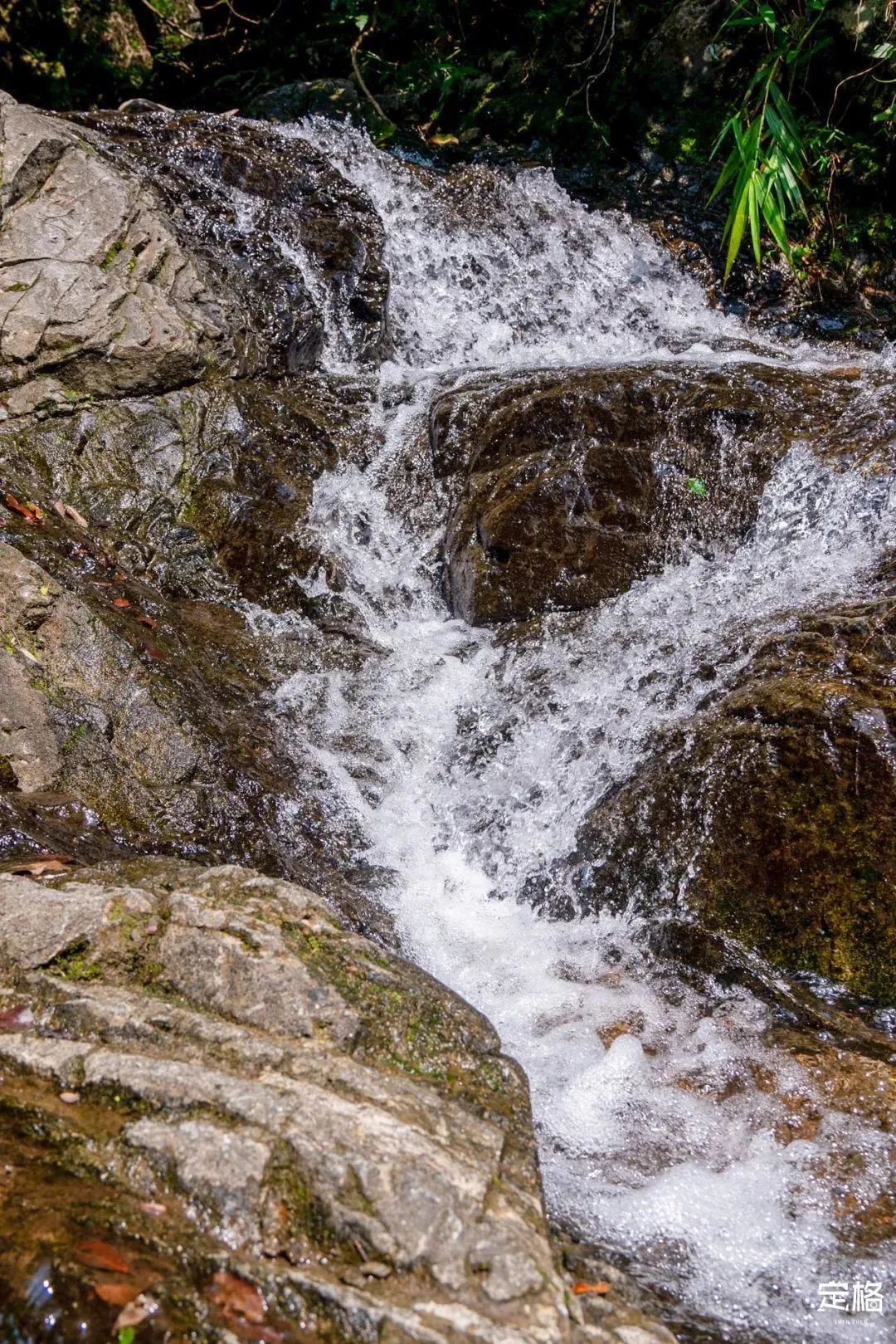 深圳10个小众打卡地免费游玩,深圳十大免费打卡地