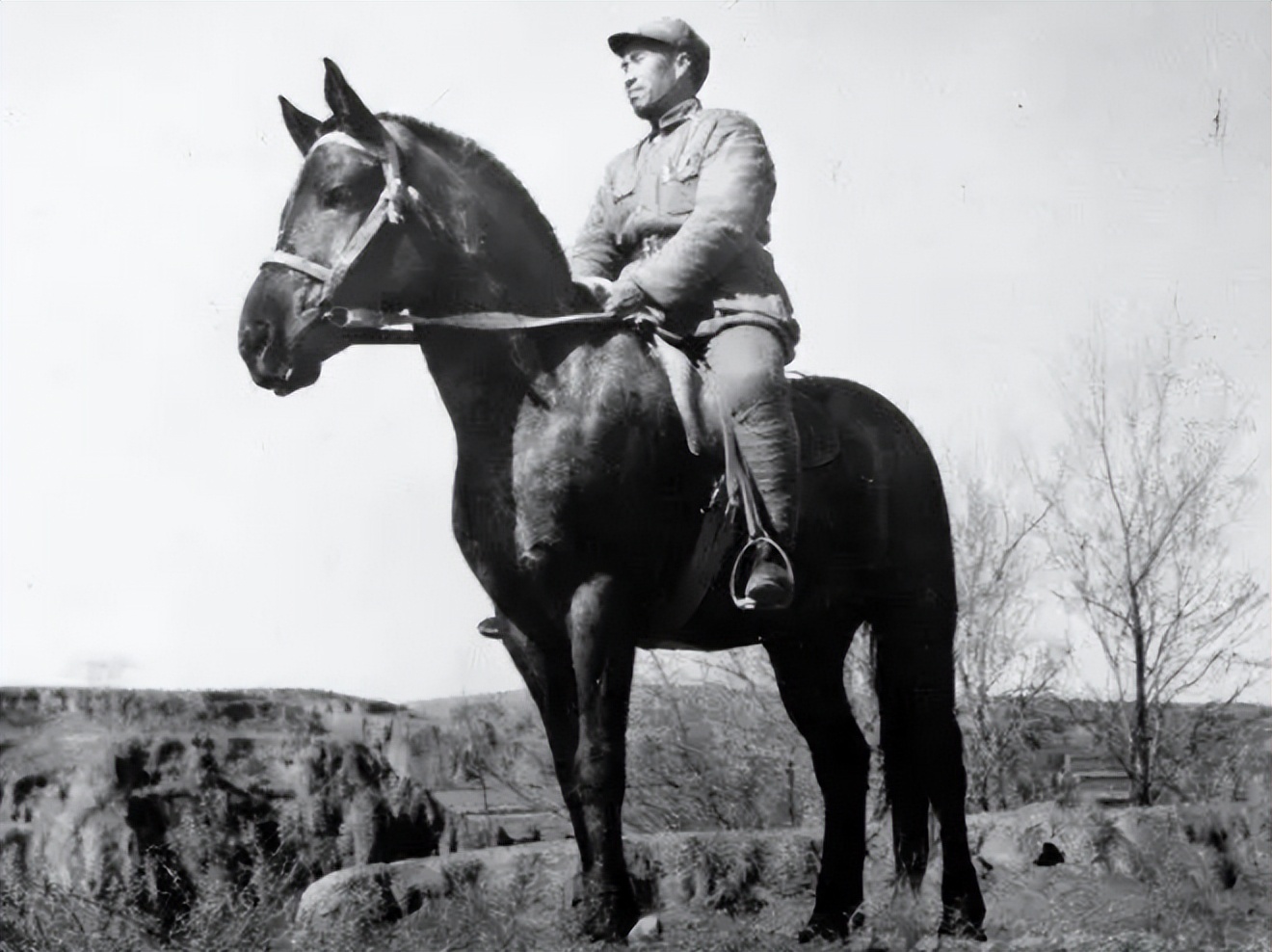 开国大将军和元帅,开国元帅大将中将