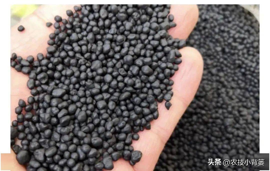 菌剂跟菌肥有什么差别,菌剂和菌肥哪一种更好