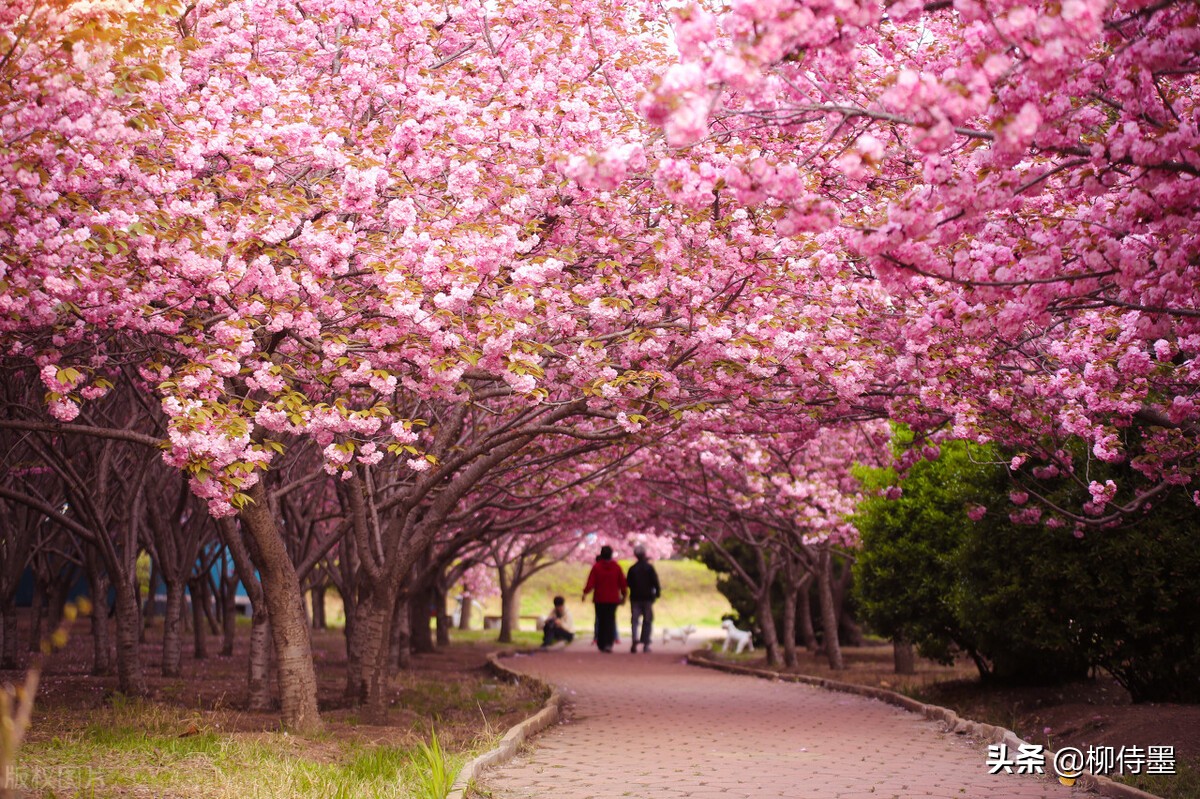 手机摄影照片细节拍摄技巧,手机摄影拍照的五大误区