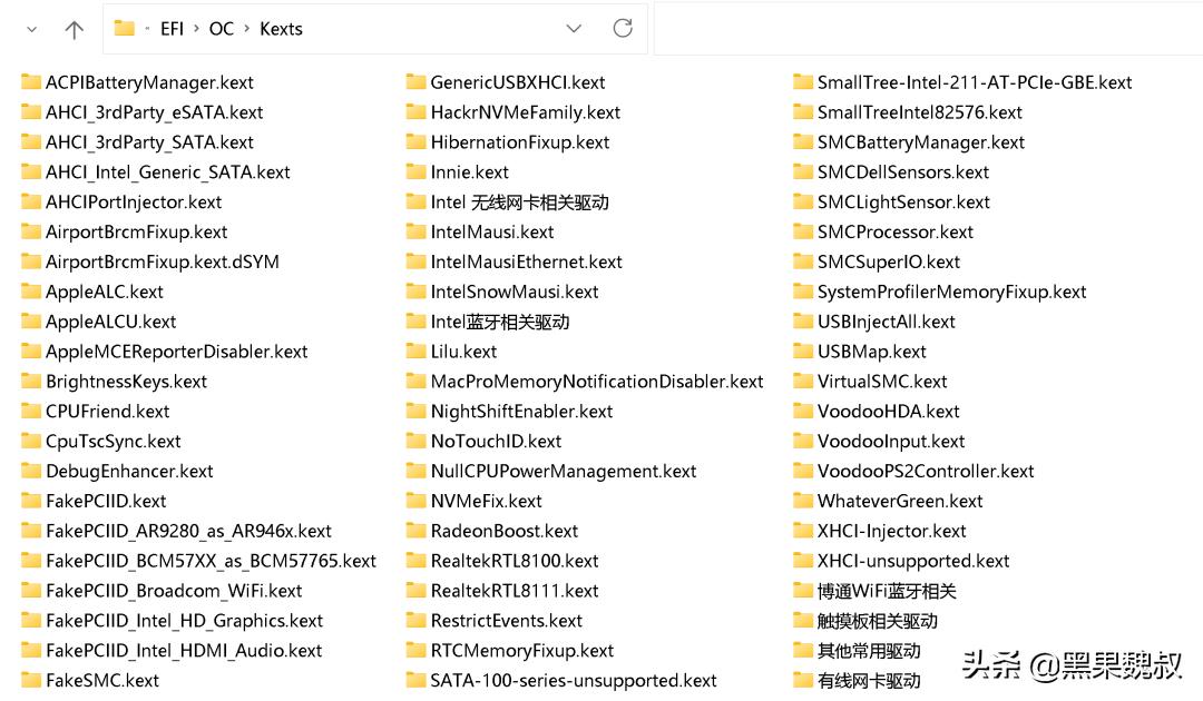 macOSBigSur11.6.4,20G417OC0.7.8/Cl5143/PE三分区黑苹果镜像