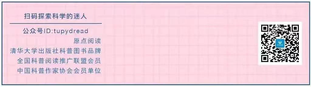 钻石和煤炭的区别,钻石是碳还是煤