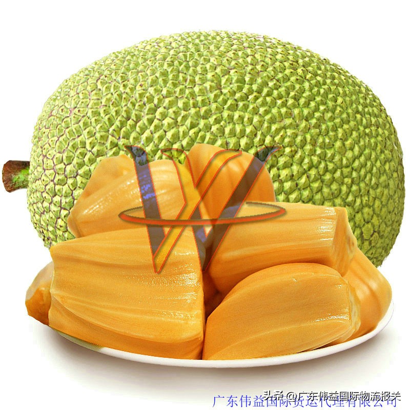 浙江进口水果报关资料,杭州进口报关联系方式