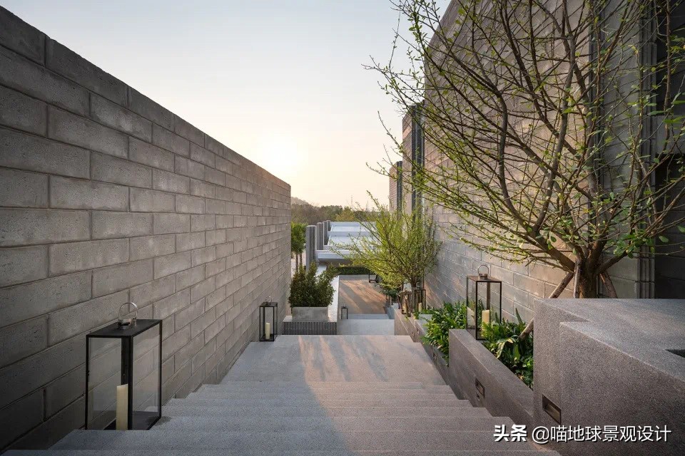 热带风情的庭院别墅,庭院大型热带风情绿植