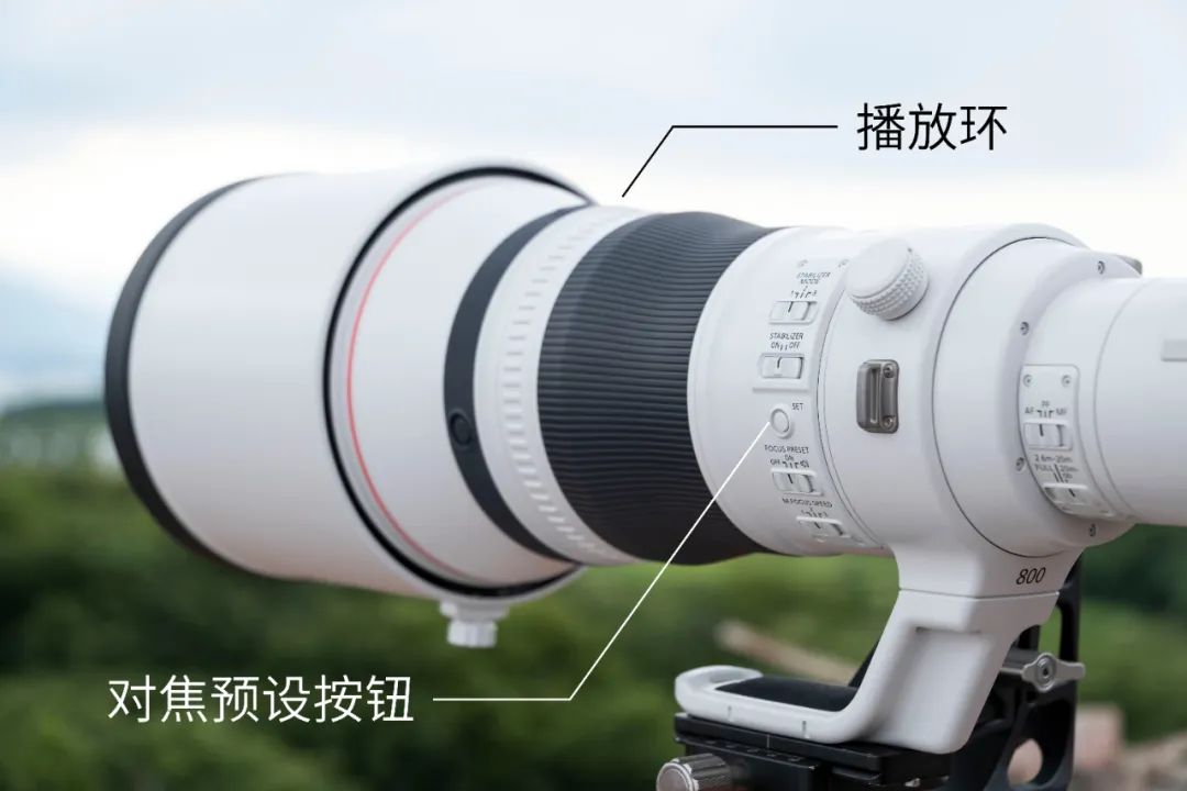 哪里能买到佳能rf800mmf5.6定焦镜头,佳能rf600与佳能rf800mm对比图