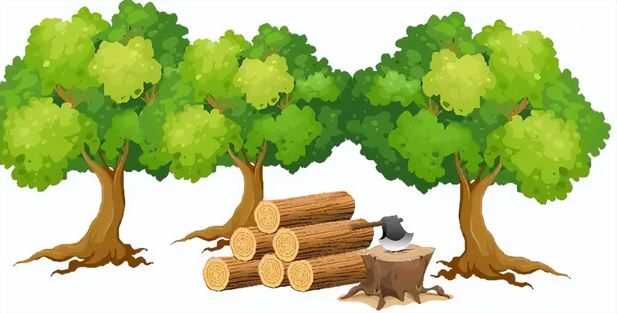 劳务费是不是就是劳务派遣,劳务费属于服务还是劳务