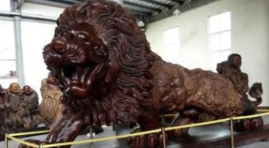 广西男子雕楠木,15米长东方雄狮根雕300万元拒卖