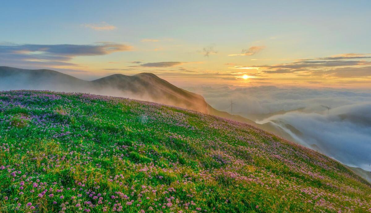 贵州旅游攻略最全,贵州旅游攻略有啥优惠的吗