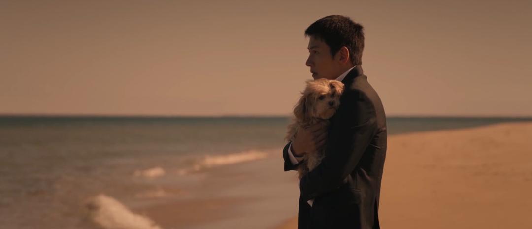 说出你的愿望韩剧合集,说出你的愿望韩剧全集解说