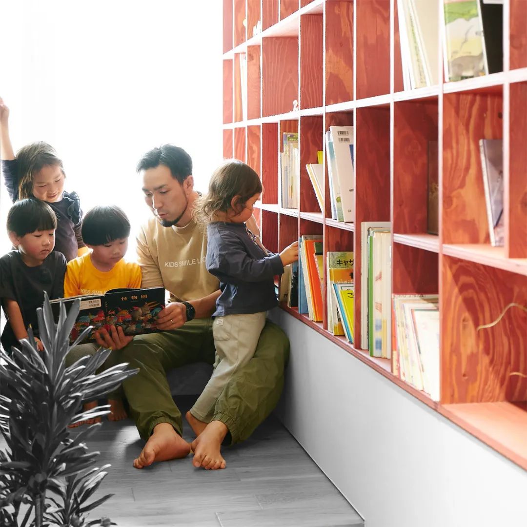 纽诺教育集团现状,纽诺教育背后的风投