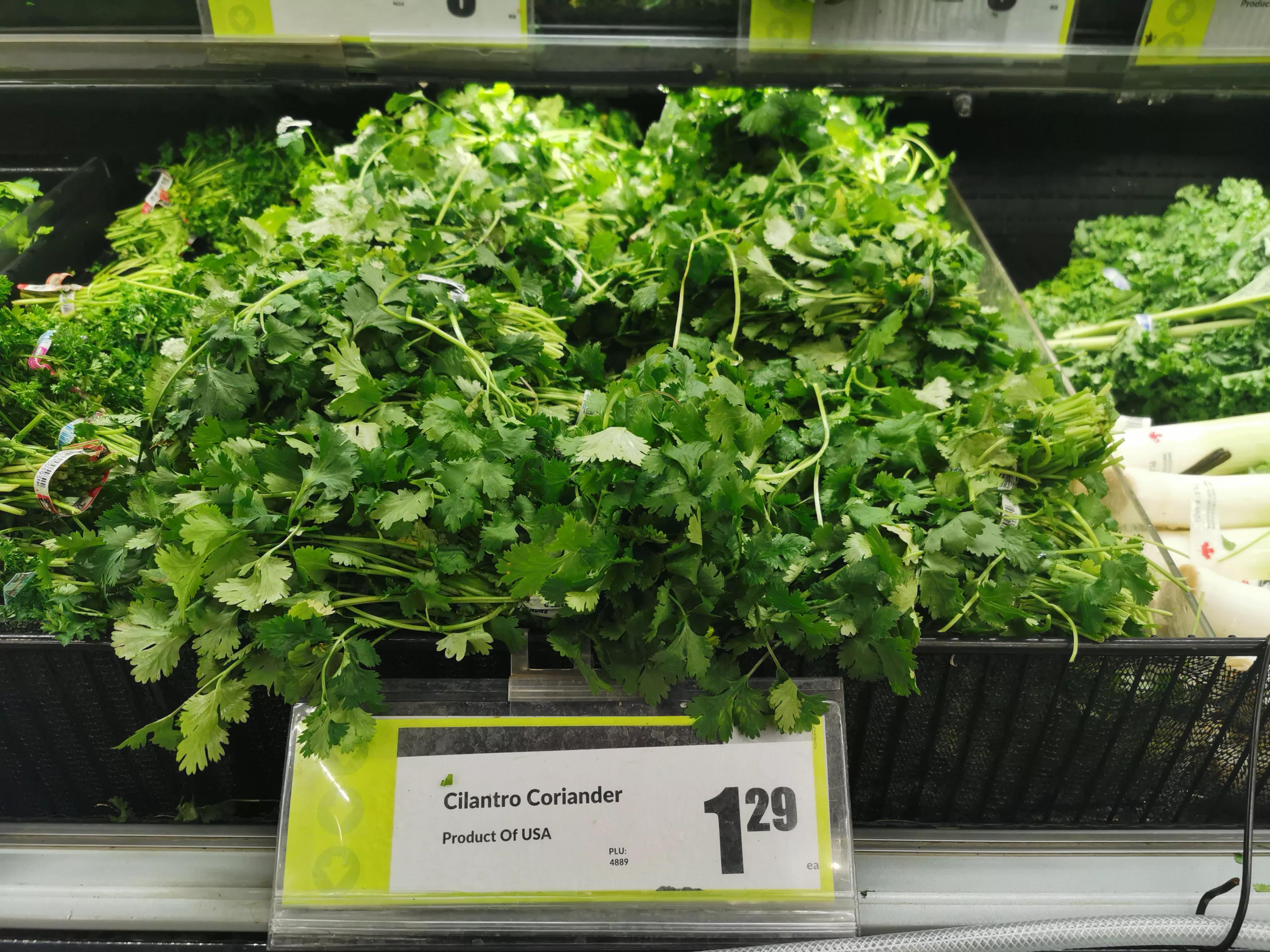 把食品价格降下来！北约克西人鲜哥超市（FRESHCO）的经营口号