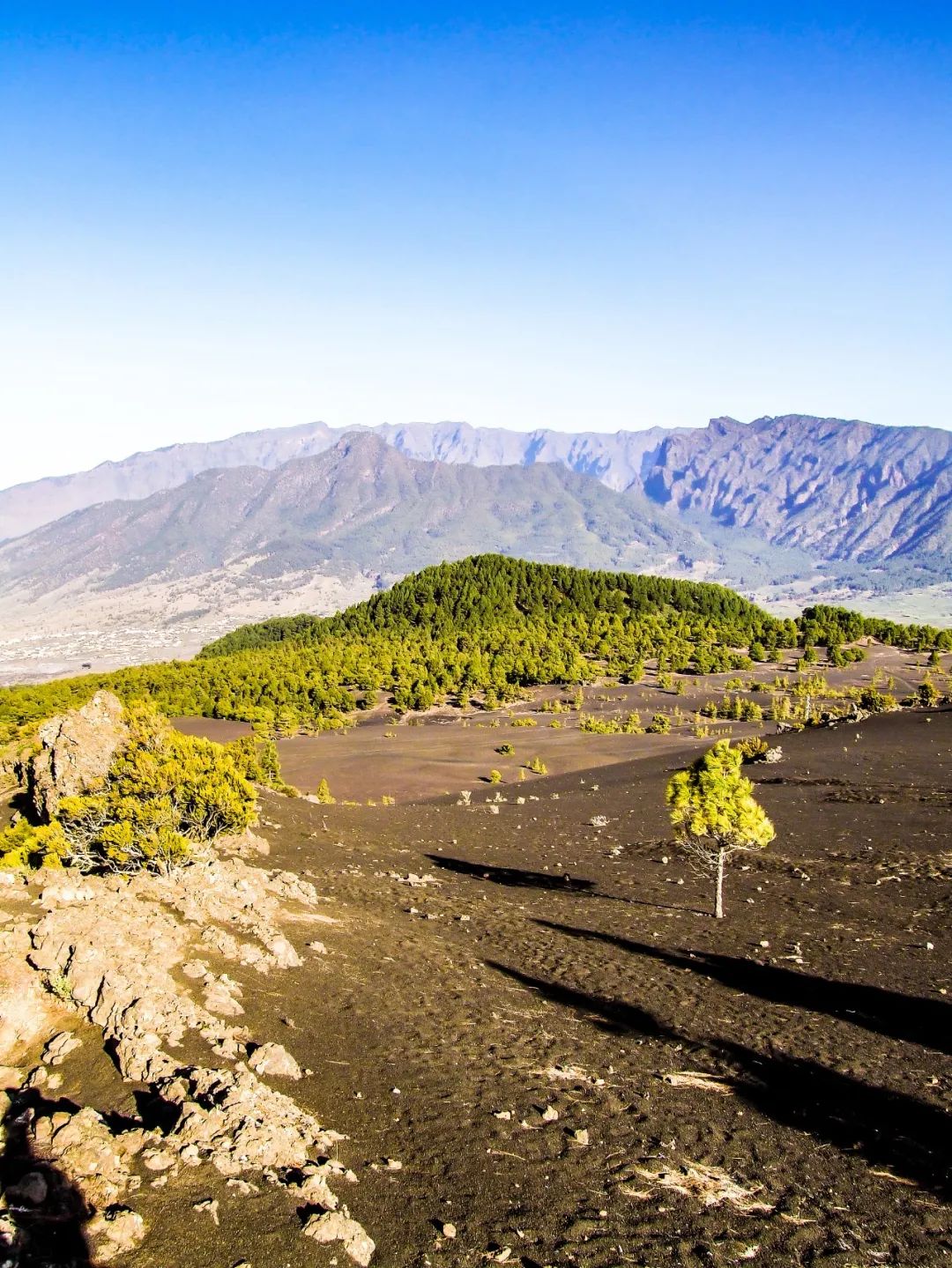 圣山龙脉,龙脉圣地黄帝陵