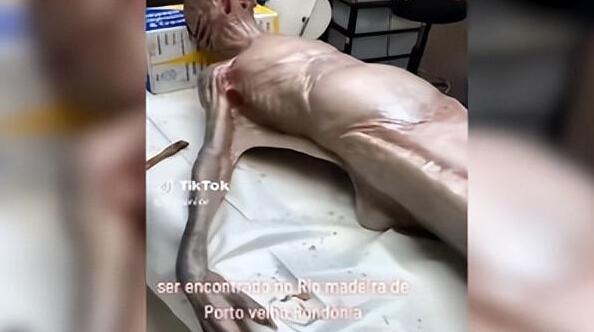 渔民一网捞1500多斤大黄鱼,渔民捞满一网鱼视频