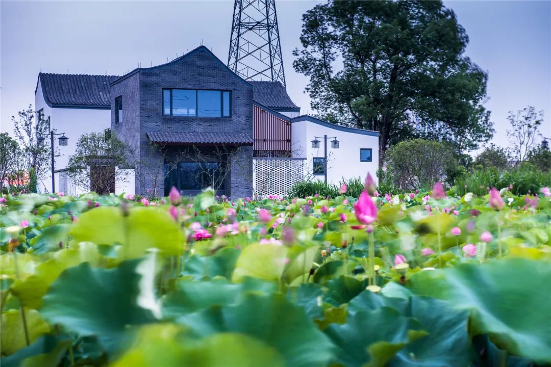 崇贤未来5年内的发展,崇贤未来10年如何规划