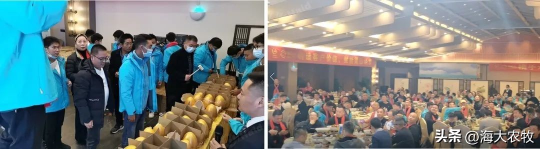 新里程集团未来规划,海大集团水纪元