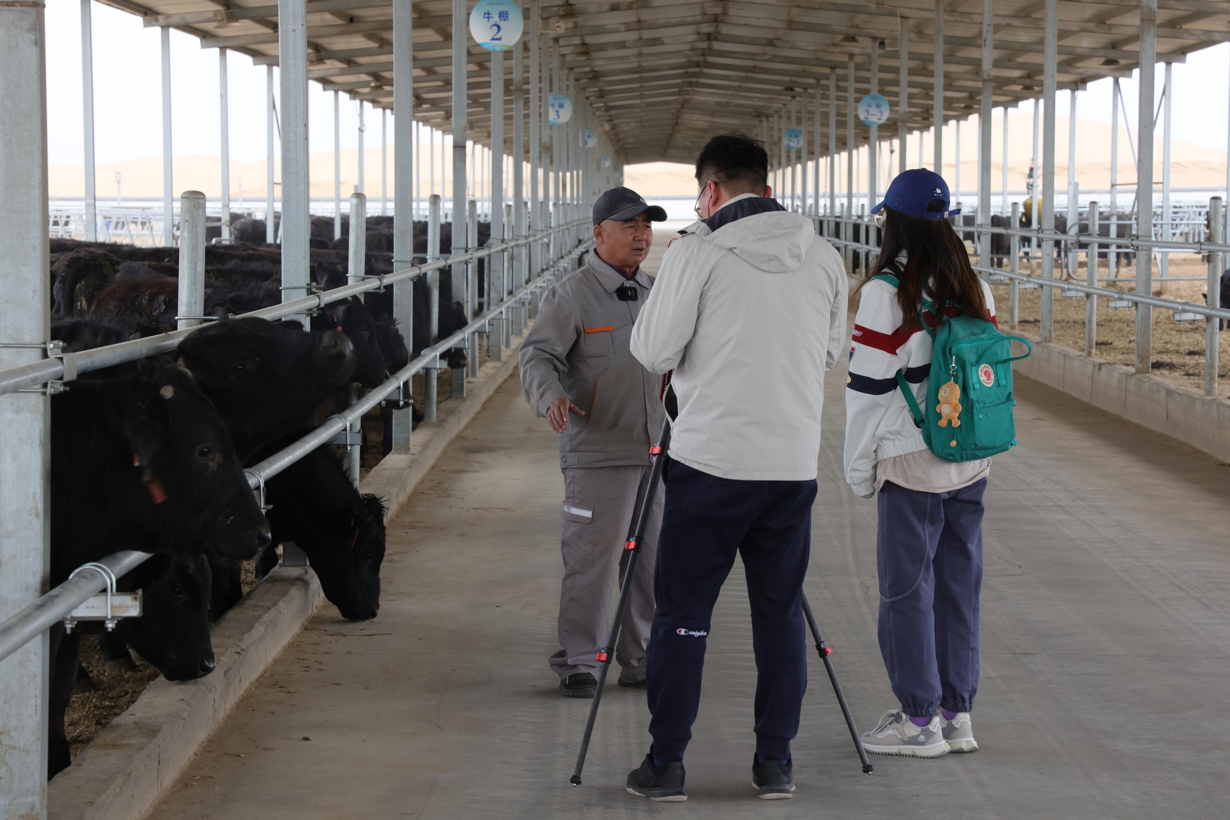 推动落实五大任务,推动五项管理落地见效