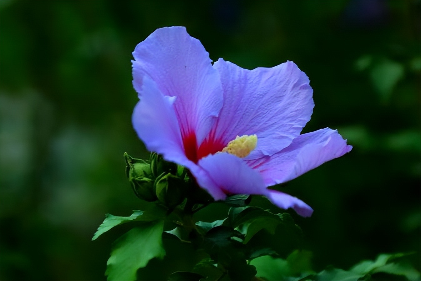 生财之道和化解破财的方法 (发财之前要经历破财)