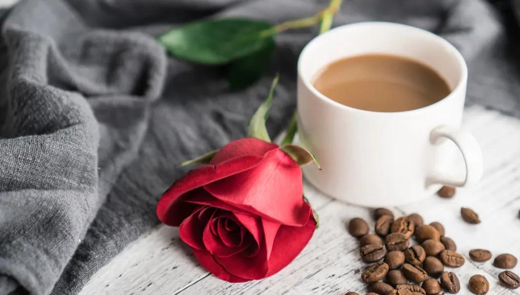 开一家咖啡厅一年挣多少钱,开咖啡馆真的赚钱吗