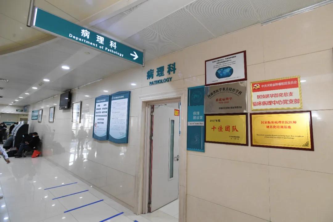 活体病理切片是什么,探访医院病理科