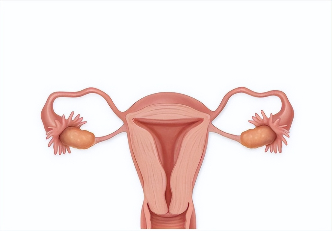 没有阴道的“石女”，到底是怎么回事？和正常女性相比有何区别？