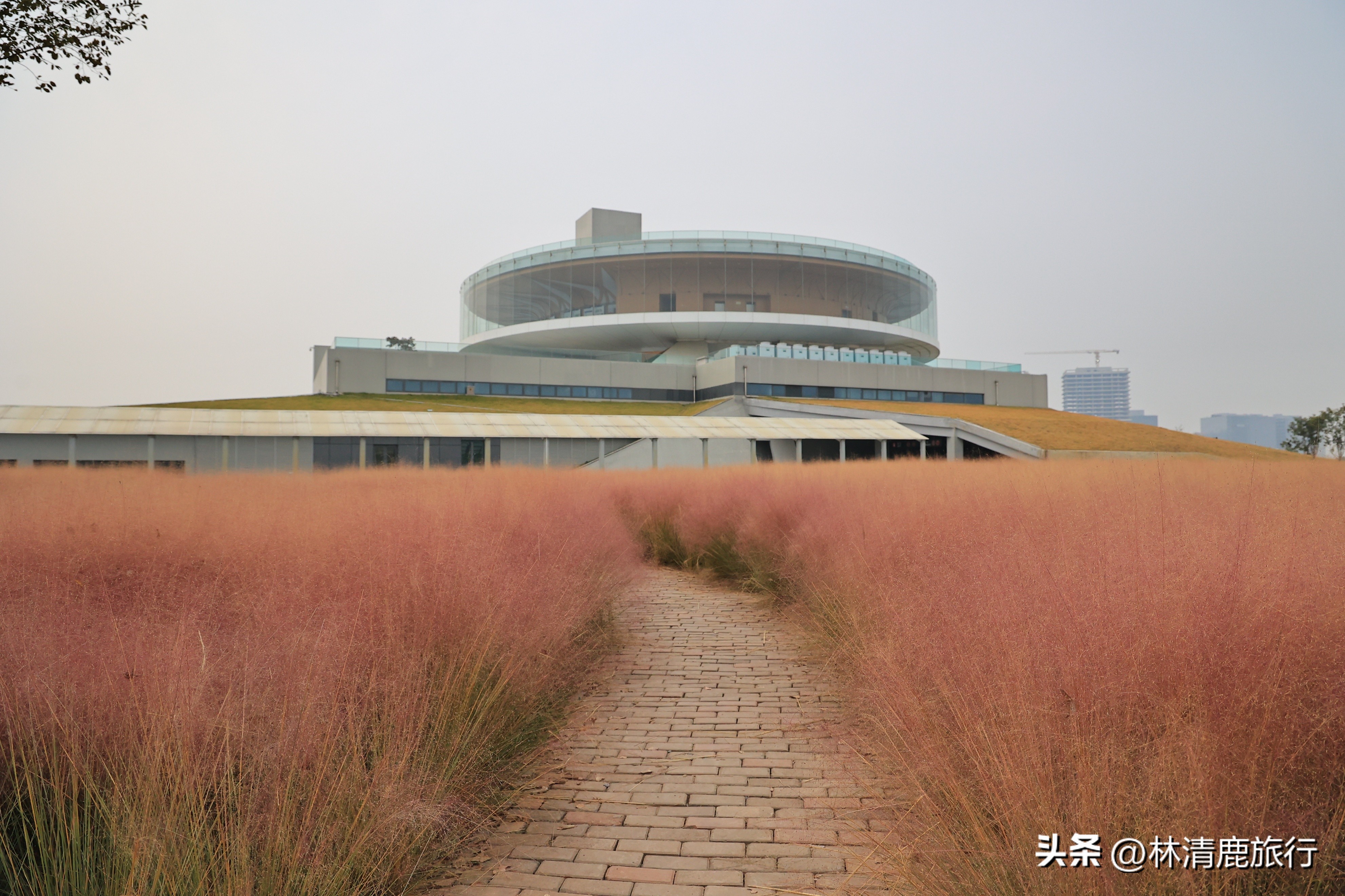 郑州最美的赏秋景点,赏秋好去处河南醉氧之地