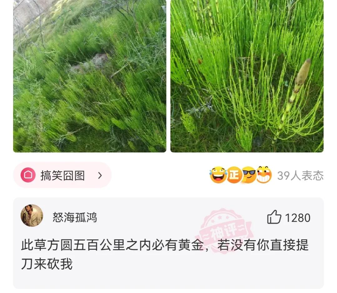 接种疫苗后发现怀孕了能要吗,接种疫苗发现怀孕了能要吗