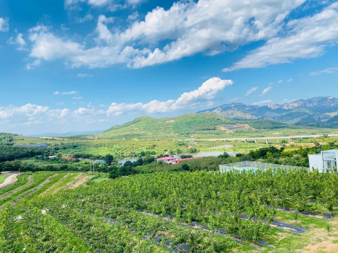 休闲农业与乡村旅游项目分析,休闲农业与乡村旅游什么时候开始
