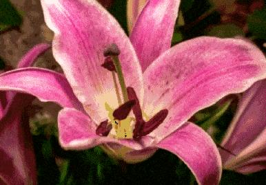 母亲节诗词精选,母亲节古诗词59字