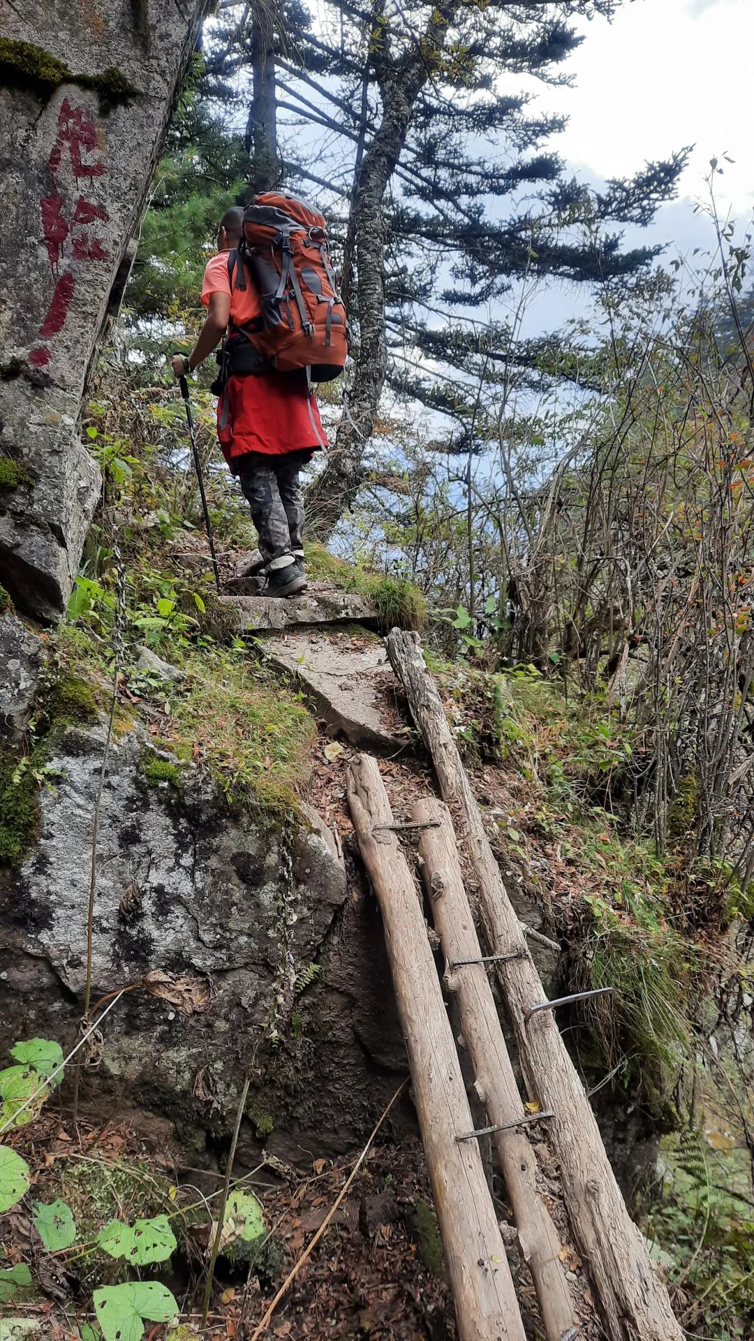 登太白山感受,太白山景区登顶拔仙台