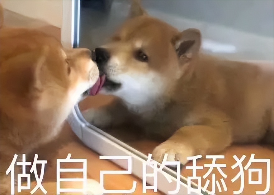 七匹狼腰带大人,七匹狼新款潮流腰带