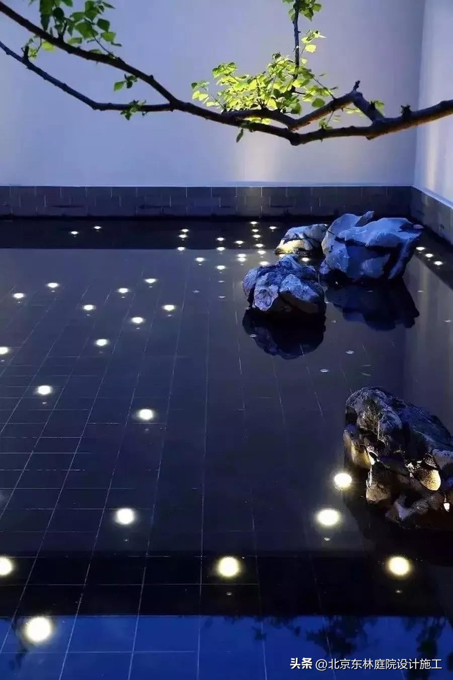 雨天怎么给植物光照,下雨天如何帮植物挡雨