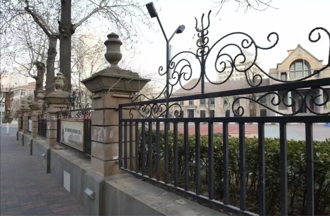 金蔷薇故事摘抄,金蔷薇故事