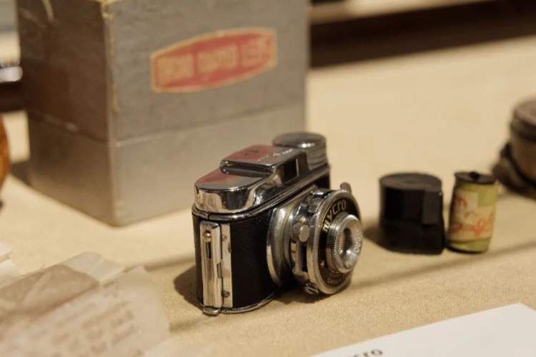 上海过年遛娃适合去哪度假,上海浦东遛娃圣地