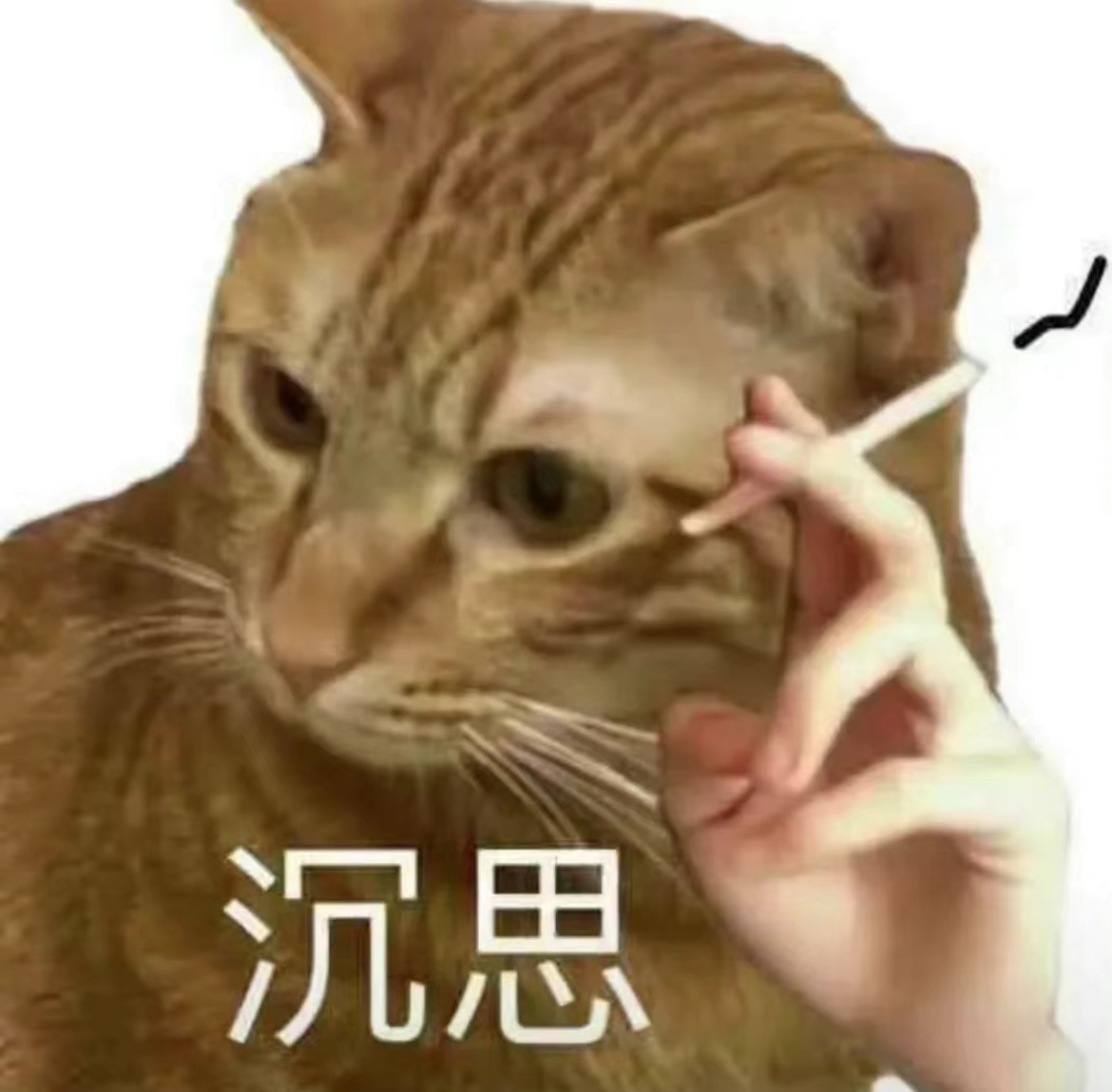 大学生当保安要注意哪些事项,做一名合格的保安具备哪些条件