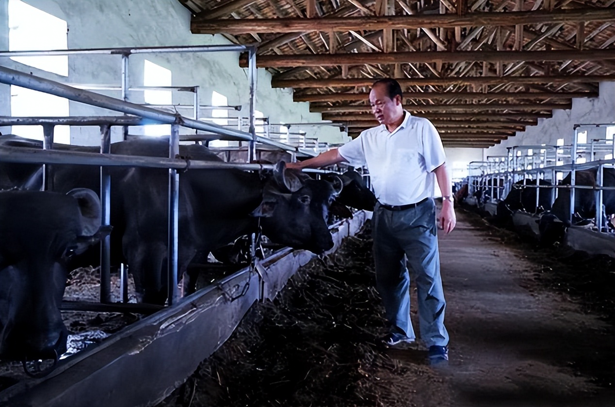 大叔靠回收牛粪一年净赚上千万,广西大叔一年赚多少钱