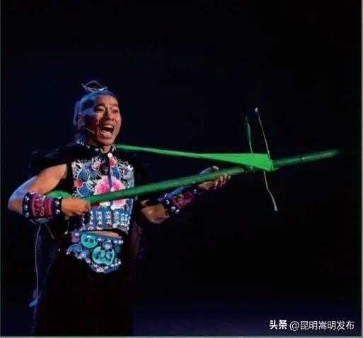 花博会云南,花博会来了