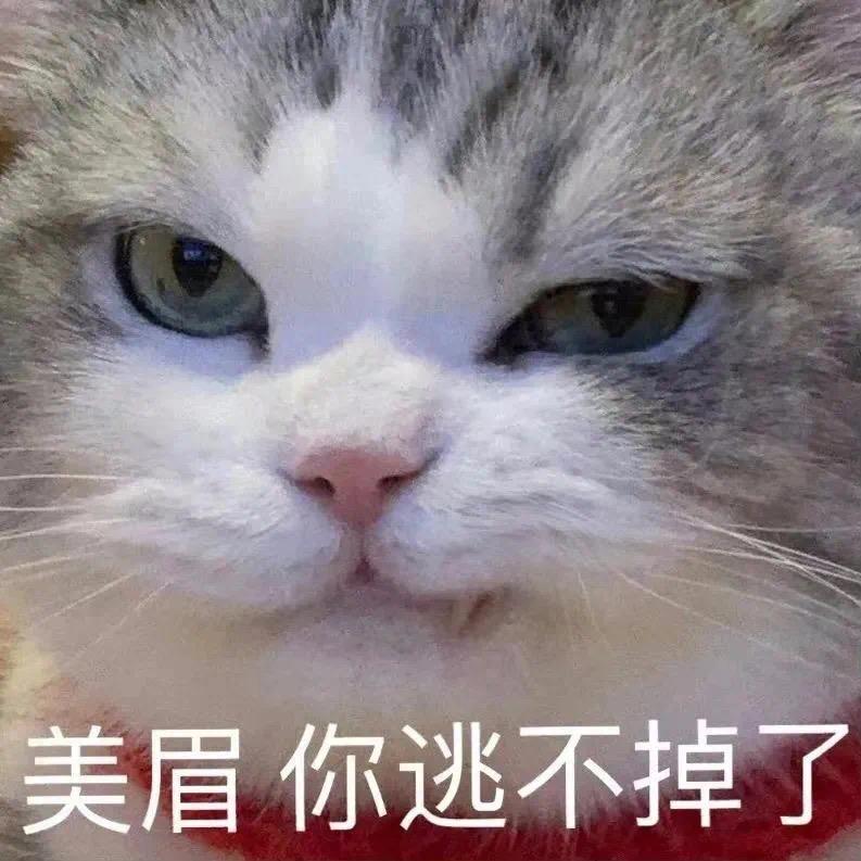 健身房销售五大套路合集,你不会刚好都遇过吧