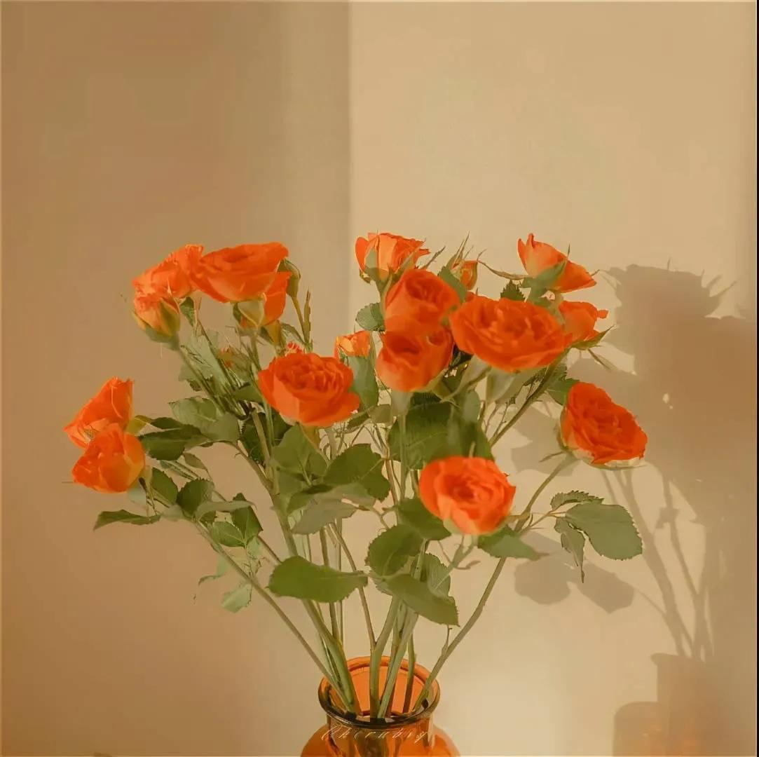 我好想你含蓄表达,好想你隐晦表达