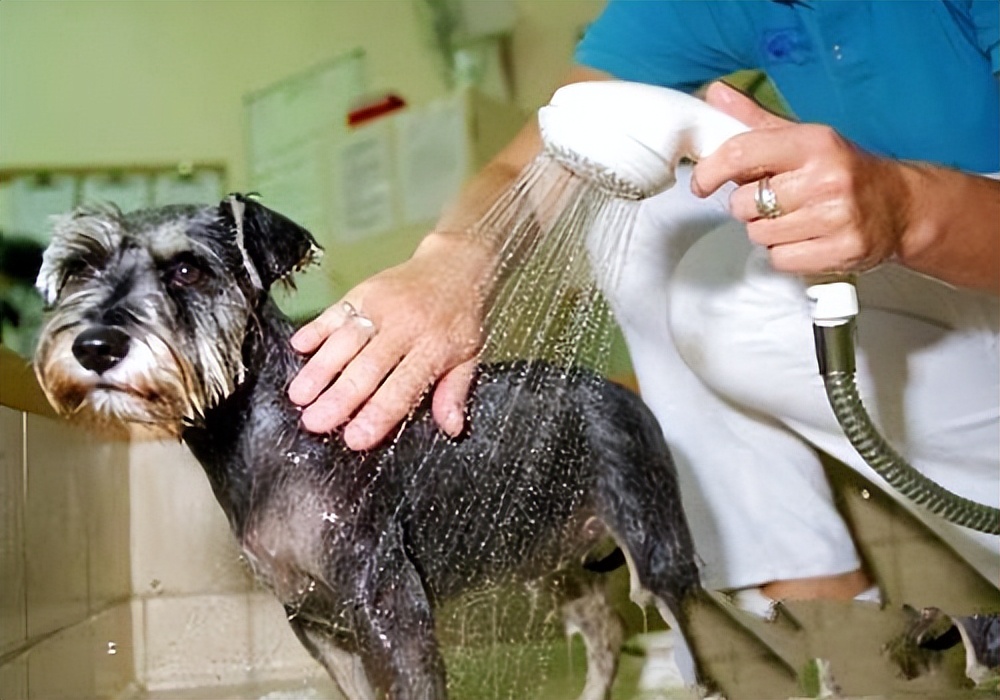 那些不经意的违法行为,那些不经意的举动