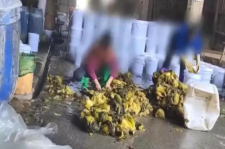 警惕市场上买的这种海鲜危害极大,海鲜黑幕