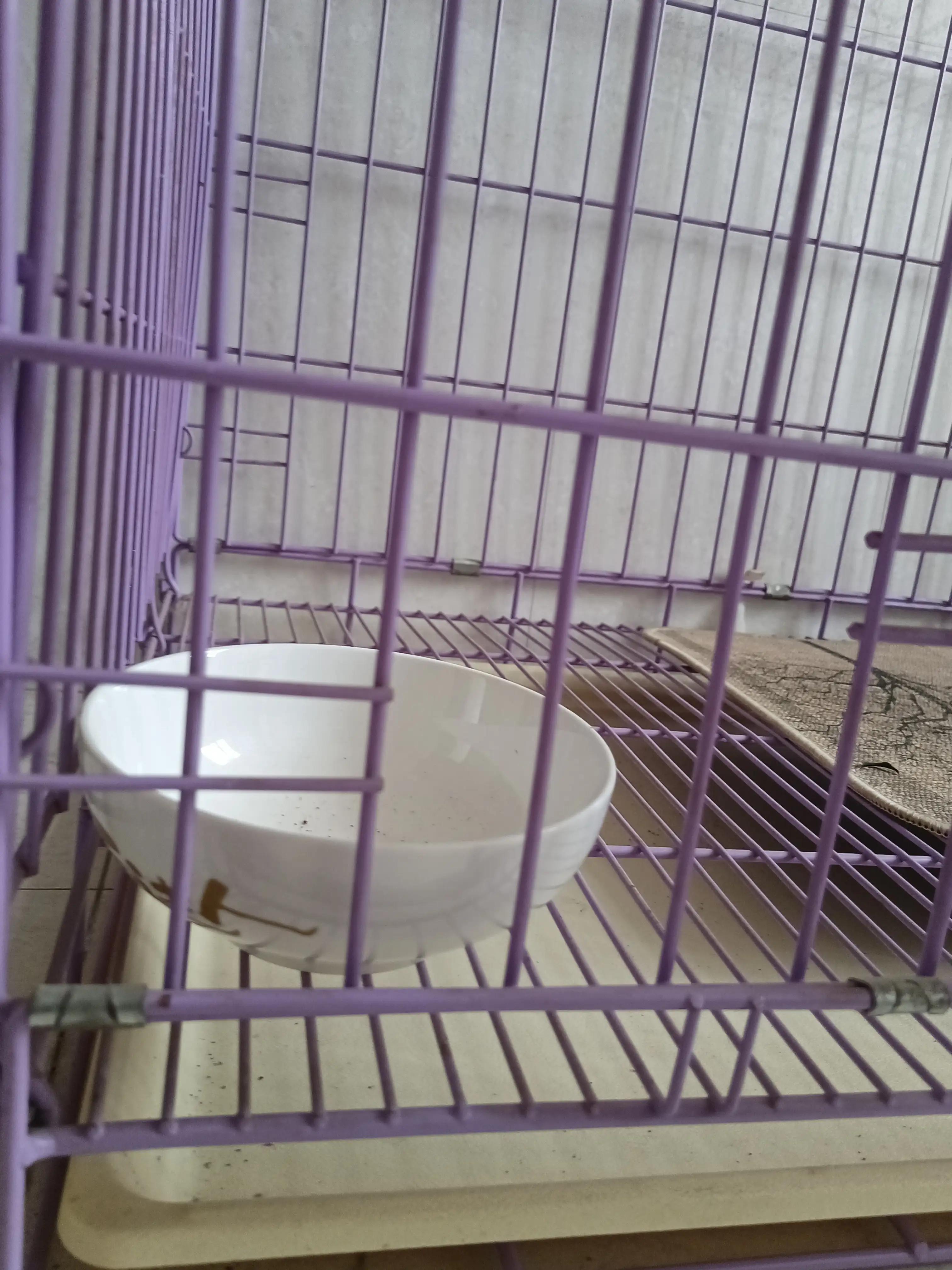 极简生活怎么清理厨房,旧碗的正确处理方法