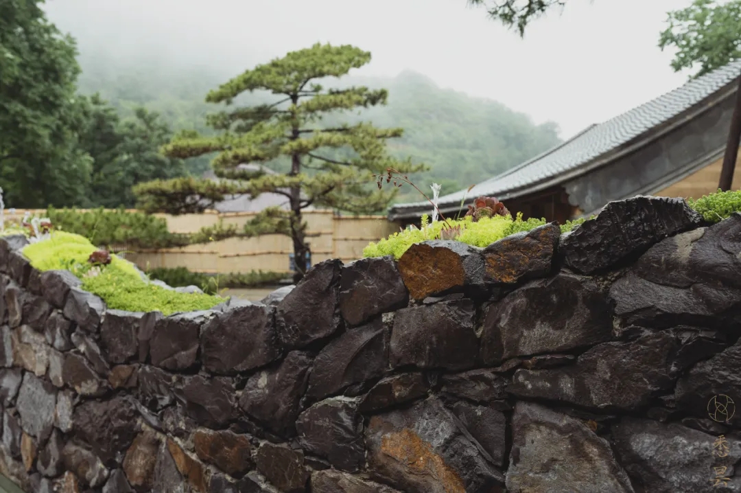 罗莱夏朵广州,罗莱夏朵中国酒店